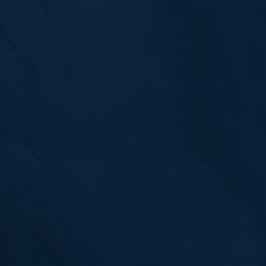 Duotone portrait silhouette in navy and white, head and shoulders of an unidentified professional figure