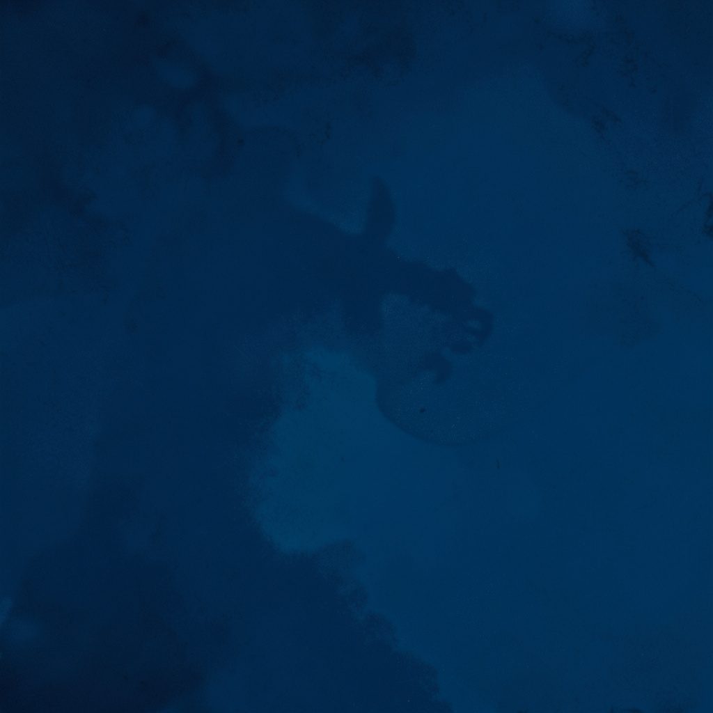 Duotone portrait silhouette in navy and white, head and shoulders of an unidentified professional figure